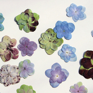 Kuaid Double Hortensia Peinture de fleurs en relief <span class=keywords><strong>Herbier</strong></span> <span class=keywords><strong>Presse</strong></span> à fleurs séchées Marque-page Décoration de visage Fleurs séchées - Product Image 1
