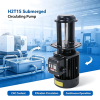 Pompe de circulation submersible H2T15 250W 220V/380V, pompe à liquide immergée, roue en acier inoxydable, usinage CNC EDM, basse pression