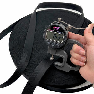 Disponibile Nastro in Nylon 66 Tipo Mil-w-4088 da 1 Pollice (25mm), Resistente ai Raggi UV e all'Usura, Alta Tenacità - Product Image 5