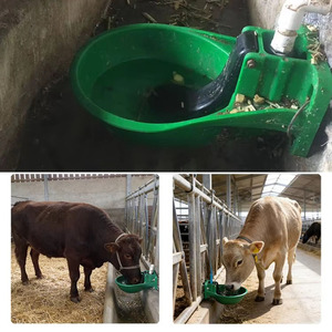 Equipo de Alimentación para Ganado a Precio de Fábrica, Bebedero Automático para Vacas, Dispensador de Agua para Ganado, para Gestión Agrícola - Product Image 6