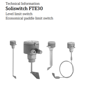 Nouveau produit Endress+Hauser Soliswitch FTE30 E+H – Détection de niveau par palette rotative en stock - Product Image 6