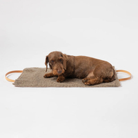 Fullto Unique Design Tapis pour chien de couleur marron Lit portable lavable pour animaux de compagnie grande taille