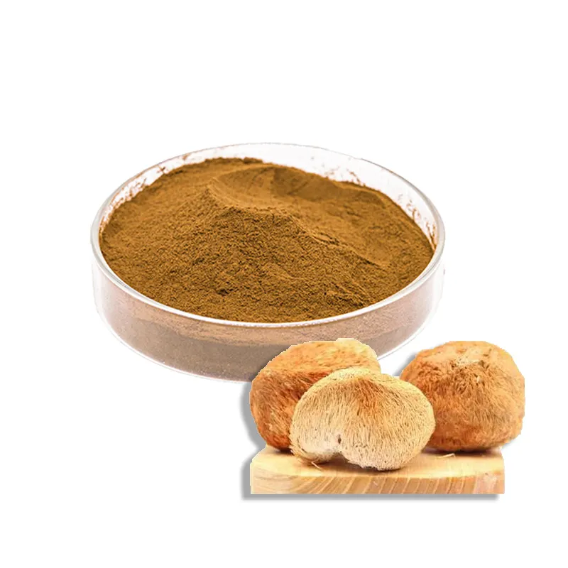 Hot Hericium erinaceus extract powder 100% lion mane extract