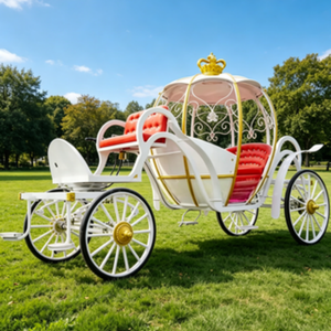 Chariot de luxe en forme de citrouille pour mariage, style personnalisé, <span class=keywords><strong>prix</strong></span> d'usine abordable pour le tourisme en zone touristique et l'activité commerciale - Product Image 4
