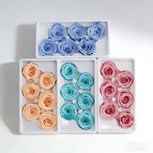 Rosas <span class=keywords><strong>Preservadas</strong></span> a Precio de Fábrica, 5-6cm, Grado B, Cabeza de Rosa Natural Eterna para Decoración de Bodas, Día de la Madre - Product Image 2