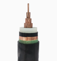Câble unipolaire blindé en cuivre avec gaine en PVC, isolation XLPE, basse tension, pour projets de centrales électriques et utilisation en construction