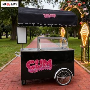 REALLY Gelato Ice Cream Vending Machine Display Freezer Italian Popsicle Electric Cargo Coffee Bike Fiberglass Brushless Motor - Product Image 5