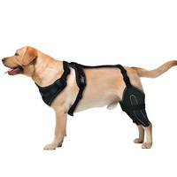 Attelle double en polyester pour pattes arrière de chien, soutien post-chirurgical, protection ajustable pour genou d'animal, renfort métallique ACL CCL
