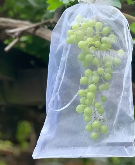100% HDPE רשת פלסטיק שקיות תפוחי אדמה שום בצל תיק להגן על פירות וירקות חרקים לצוד נטו
