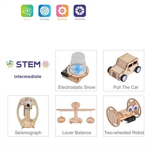 Educatief Diy Hout 3D <span class=keywords><strong>Puzzel</strong></span> Stem Speelgoed Wetenschap Kits Natuurkunde Onderwijs Self-Made Experimenten Houten Model Kit Voor Kids - Product Image 3