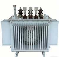 Transformateur triphasé immergé dans l'huile S11 10kV 480V 50/60Hz étanche à l'humidité pour la production d'énergie solaire/éolienne Cuivre/Aluminium IEC