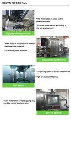 Parallel Robot Packing Machine Carton Side Load Box High Speed Automatic Case Packer