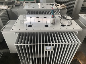 Transformateur de distribution entièrement scellé 10 kV – Nouveaux produits pour la distribution – Qualité supérieure et prix bas – Appareillage MV et HV - Product Image 6
