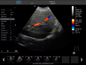 EUR VET En stock Échographiste médical pour le diagnostic des animaux Modèle d'ordinateur portable Scanner à ultrasons pour la clinique Equipement vétérinaire