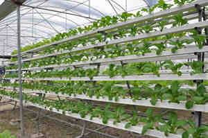 Hydroponics hệ thống với 72-Lỗ Bộ dụng cụ dọc PVC Ống rau & nhà máy 12V Máy bơm nước động cơ thông gió - Product Image 6