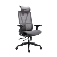 Chaise de bureau ergonomique moderne entièrement en mesh avec accoudoirs réglables 4D, support lombaire, appui-tête 3D réglable et réglage de la hauteur pivotant