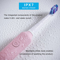 Brosse à dents électrique sonique pour adulte, étanche, vibration automatique, chargeur USB, Rechargeable, OEM, 10 pièces, PT4X