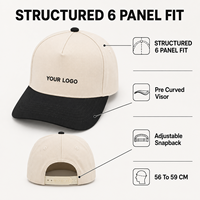 Gorra de Béisbol Personalizada con Bordado, 5 Paneles, Estructurada, de Algodón, con Cierre a Presión, con Logotipo Bordado en 3D para Marca de Ropa Urbana, Venta al Por Mayor