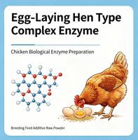 Additif alimentaire enzymatique composé pour le bétail, la volaille, les porcs, les poules pondeuses, les poulets de chair, les canards, les poules, les animaux aquatiques, Xylanase