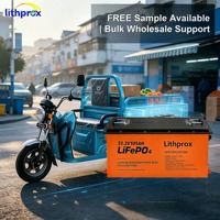 3-Rad-Scooter-Batterie 51.2V 105AH 150AH 200AH 5.38KWh 7.68KWh 10.24KWh Lithium-Eisenphosphat mit fortschrittlichem BMS und Vibrationsdämpfung