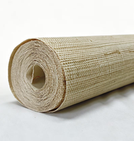 Revêtement mural pour salle de sport en papier naturel ignifuge avec propriétés insonorisantes et imperméables, installation facile en DIY