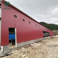 Estructura Metálica de Gran Escala para Gallinero, Estructura de Acero para Granja Avícola, Gallinero Comercial