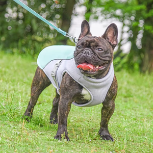 Rompi Anjing Pelindung yang Dapat Disesuaikan dengan Klip Tali di Belakang & Depan, Harness Jaring Bernapas dengan Pegangan Kontrol yang Mudah - Product Image 6