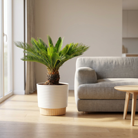 Plante vivante en plastique de palmier sago Costa Farms, pot décoratif durable, facile d'entretien, purificateur d'air, décoration intérieure pour la maison/le bureau