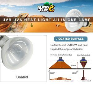 2025 Chất lượng cao R80 80 Wát <span class=keywords><strong>UV</strong></span> nhiệt thủy ngân hơi đèn thủy tinh tráng đèn cho loài bò sát & rùa Sản phẩm vật nuôi - Product Image 3