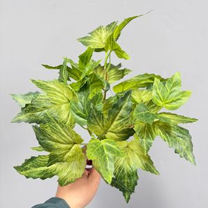 Bouquet de feuilles de lierre artificielles 30cm-100cm, verdure pour décoration intérieure, arrangement de plantes - Product Image 1