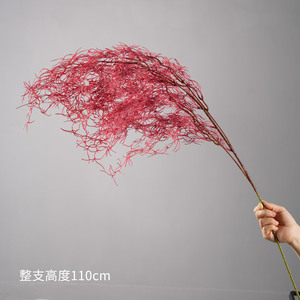 Ramo de flores preservadas de aspargosa artificial Greenway, color rojo, para decoración del hogar y diseño de interiores - Product Image 4