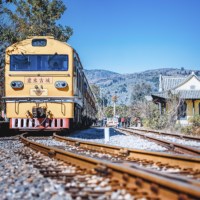 Expédition ferroviaire vers l'Allemagne Pologne Pays-Bas Royaume-Uni avec service de camionnage rapide depuis la Chine