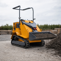 Chargeuse compacte sur chenilles T390, mini-chargeuse compacte à chenilles, carrosserie étroite de 955 mm, garde au sol de 219 mm, chargeuse sur chenilles à essence pour travaux en espace restreint