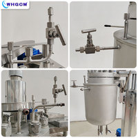 WHGCM Nouveau réacteur de laboratoire à haute pression en acier inoxydable de 10L et 20L avec enveloppe, moteur magnétique, contrôle PID scellé, breveté