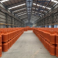 Muestra Gratuita de Cilindro de Gas LPG de Grado Profesional de 3kg-50kg |   Certificado ISO/CE/TPED |   Válvula con Logotipo de Color Personalizado Disponible