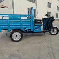 Tricycle électrique cargo ouvert pour adultes 60V 600W