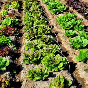 حماية من فوق البنفسجية منبثقة للحديقة ، زجاج أبيض ، ينمو في المنزل ، نفق ، قضيب ، دعم الدفيئة من بولي تونيل - Product Image 4