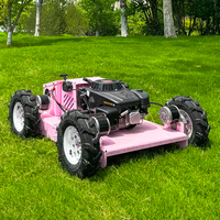 Sertifikat CE EPA Mesin Pemotong Rumput Diesel 550 mm 2200W Harga Pabrik Murah Robot Pemotong Rumput Lereng Pengontrol Jarak Jauh RC