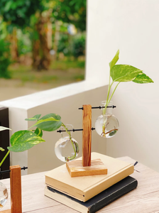 <span class=keywords><strong>Vaso</strong></span> di propagazione delle <span class=keywords><strong>piante</strong></span> giardinaggio fioriera Set idroponico pianta d'<span class=keywords><strong>appartamento</strong></span> Stand unico <span class=keywords><strong>vaso</strong></span> - Product Image 2