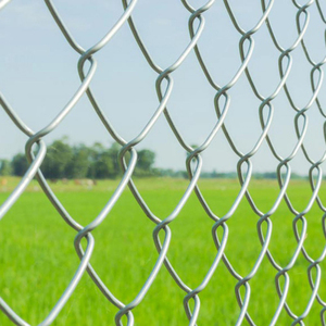 Galvanized Steel PVC Coated Multi Sizes Garden <strong>Net</strong> <strong>Chain</strong> <strong>Link</strong> Mesh Fence Diamond Mesh Wire - Product Image 5