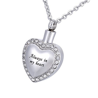 Colgante Clásico Hecho a Mano, Ecológico, Duradero y Hermético, de Acero Inoxidable Plateado con Cristal de Zirconia en Forma de Corazón para Urna de Mascotas