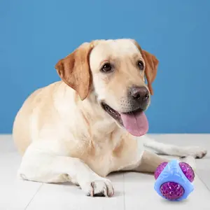 Pelota LED superelástica para perros, juguete de pelota para morder, ligera, para entrenamiento de morder