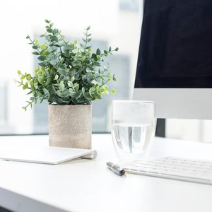 <span class=keywords><strong>Mini</strong></span> <span class=keywords><strong>Eucalyptus</strong></span> Artificiel <span class=keywords><strong>en</strong></span> <span class=keywords><strong>Pot</strong></span> Lot de 3 Plantes Vertes Artificielles <span class=keywords><strong>en</strong></span> Plastique avec <span class=keywords><strong>Pot</strong></span> pour la Maison - Product Image 4