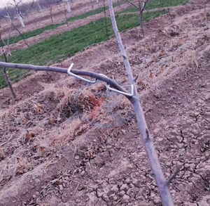 Entrenador <span class=keywords><strong>de</strong></span> tallos <span class=keywords><strong>de</strong></span> plantas, fuerte, huerto, granjero, regalo, herramientas <span class=keywords><strong>de</strong></span> granja, máquina tiradora <span class=keywords><strong>de</strong></span> ramas <span class=keywords><strong>de</strong></span> árboles - Product Image 6