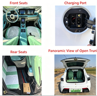 Mini-véhicule électrique à 3-4 roues, 5 places, à faible vitesse, conduite mécanique à droite, sans permis de conduire requis, véhicule à énergie nouvelle