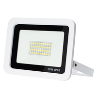 Projecteur LED extérieur 30W, cadre en aluminium moulé sous pression blanc et noir, étanche IP66, AC100-130V