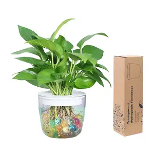 Vente en gros de produits 6 pièces Pots de jardin nordiques et jardinières bon marché Décor de maison Pot de plante hydroponique transparent à arrosage automatique