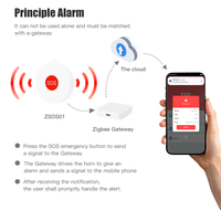 Mini bouton de panique SOS Tuya ZigBee alarme personnelle d'urgence sans fil pour système de sécurité à domicile