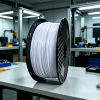 Filament d'imprimante 3D 1,75 mm/2,85 mm 1 kg/3 kg RoHS Blanc neige PLA MAX Filamet, utilisé pour l'impression 3D FDM Fabricant OEM/ODM CC3D