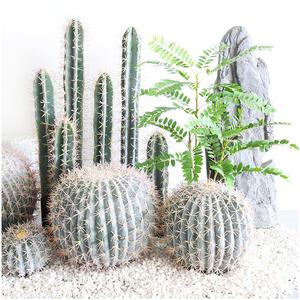 Mur végétal artificiel émotionnel, plantes décoratives d'aspect naturel, étiquette personnalisée, grande plante artificielle de cactus pour chambre à coucher - Product Image 1